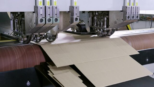 Paper corrugated box factory. Slitting machine carves cardboard boxes from sheets of cardboard. 4K