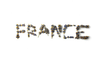 the word france from lavender twigs on a white background