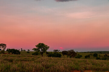 Céu colorido visto do cerrado após o pôr do sol em Minas Gerais.