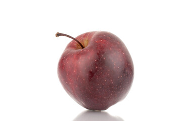 One organic sweet red apple, close-up, isolated on white.