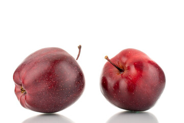 Two organic sweet red apples, close-up, isolated on white.