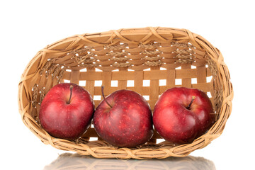 Three organic sweet red apples with a basket of vines, close-up, isolated on white.