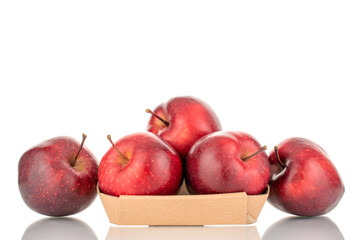 Five ripe sweet, red apples in a dish made of paper, close-up, isolated on white.