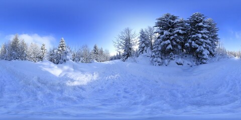 Forest in Winter Covered in snow HDRI Panorama