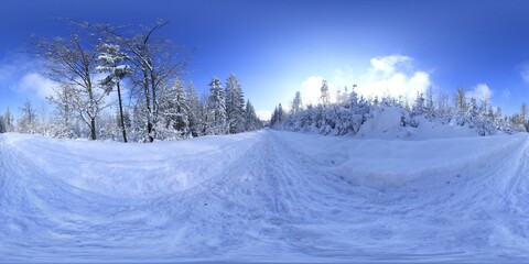 Forest in Winter Covered in snow HDRI Panorama