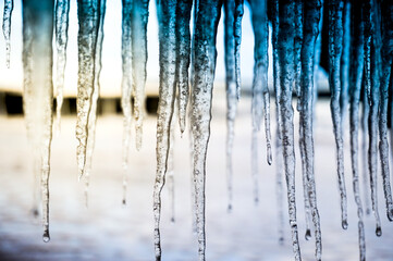 Hanging icicles - frost, winter concept