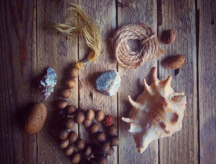 sea shells and starfish on wood