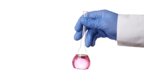 Gloved hand holds retort with pink fluid. Hand and flask are isolated on a white background. Pink liquid is inside chemical glassware. Toxic drink for chemical test. Science experiment with colored