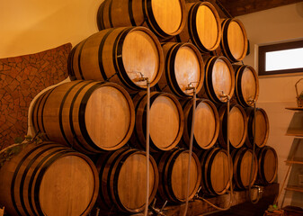 White, rose and red wine in barrels for sale in wine cellars in Italy