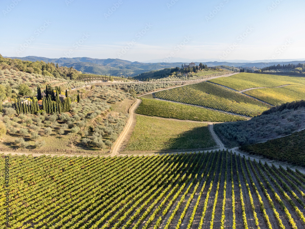 Canvas Prints aerial view of the chianti in Tuscany