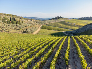 aerial view of the chianti in Tuscany