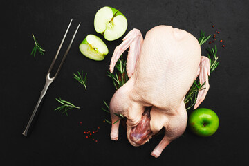 Raw whole duck, green apples. pepper and rosemary. Ready to bake. Black table background. Top view....