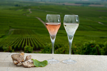 Glasses of white and rose brut champagne wine, firestones from vineyards soil and view on grand cru vineyards of Montagne de Reims near Verzenay, Champagne, France