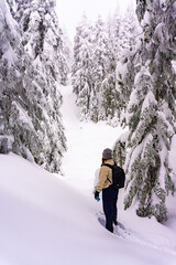 Girl looking through snowy forest