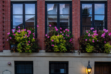 Fototapeta na wymiar Big planters with various plants set against brick wall with windows