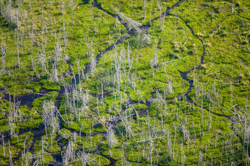 Wetlands Prince Edward Island Canada