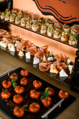 Beautiful view on various types of appetizers on plates.