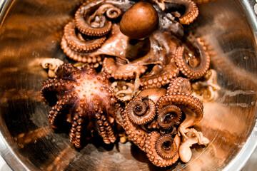 Obraz na płótnie Canvas Close-up top view of boiled small octopuses in metal bowl