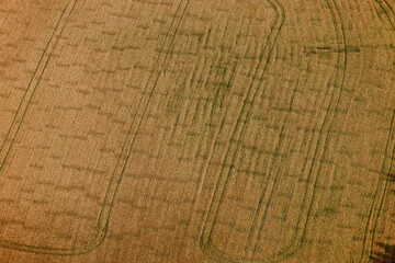 Agriculture Prince Edward Island Canada