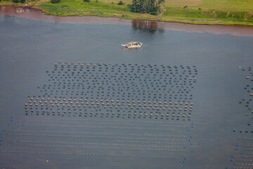 Aquaculture on Prince Edward Island Canada