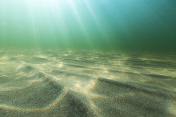 Natural underwater seascape, sand on the sea floor and water surface with sunlight... - obrazy, fototapety, plakaty