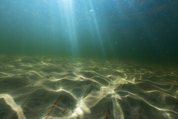 Fototapeta na wymiar Natural underwater seascape, sand on the sea floor and water surface with sunlight...