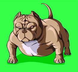 Design vector american bully dog pitbull  - obrazy, fototapety, plakaty