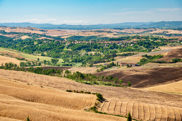 wheat fields in summer in Tuscany