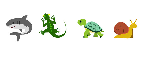 Lizard, shark, tirtle, snail vector flat icon. 