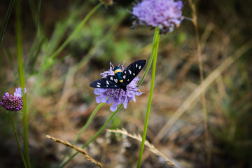 natura in obbiettivo
