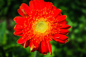 natura in obbiettivo