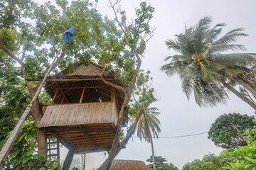 tree hut in the jungle