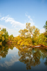 Lake and trees in the rays of the sun at sunset. Beautiful spring landscape.