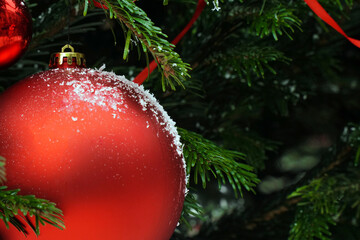 Big red ball on a Christmas tree with snow