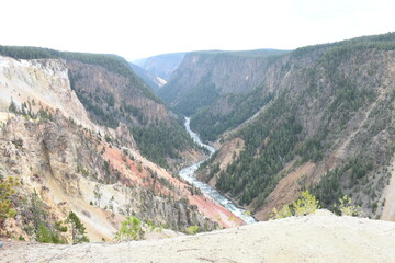 Grand Canyon of Yellowstone