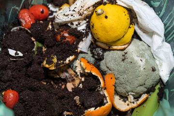 Schimmlige Lebensmittel im Kompost