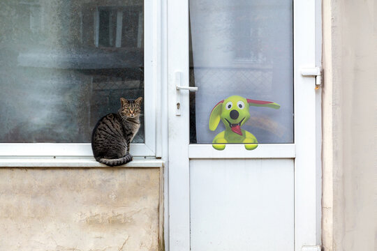 A real cat is sitting on the windowsill, a dog painted next to it looks out the door window.