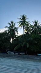 Fototapeta na wymiar Small boat on the beach under palm trees, at down, in Tamarindo, Costa Rica