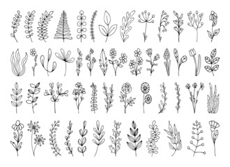 Set of floral hand drawn elements. Vector branches with leaves, flowers, herbs for decorating design cards, web. Isolated simple doodle art thin line illustration. Forest greenery, fern, eucalyptus.