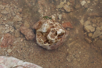 a little stone in the water