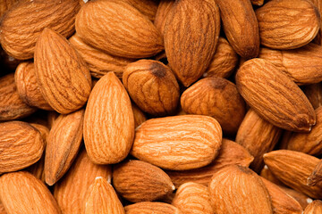 Almond nut top view. Background   