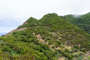 Obraz premium Vereda da Boca do Risco walking path in Madeira’s island north-eastern coast
