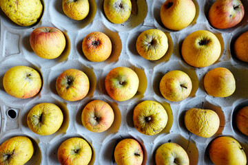unbehandelte Bio-Äpfel lagern auf einer Pappunterlage