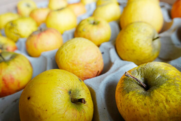 unbehandelte Bio-Äpfel lagern auf einer Pappunterlage