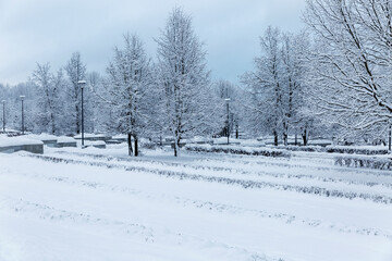 Beautiful park in the snow. Magnificent winter nature.