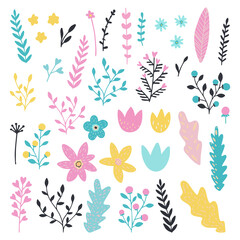 Set of floral elements. Flower and green leaves.