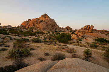 Joshua Tree National Park