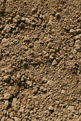 Dry lumpy clay in the field in detail.