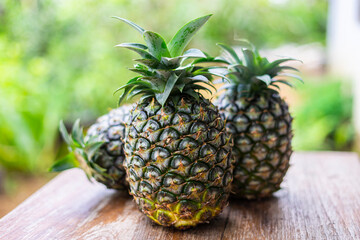 Whole pineapple on the wooden table with garden blackground.