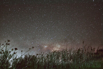 Ocaso galactico